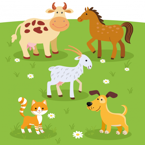 Для издательства "Аверсэв"