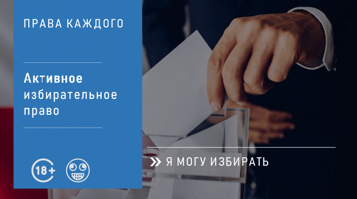 ИЗБИРАТЕЛЬНАЯ  СИСТЕМА