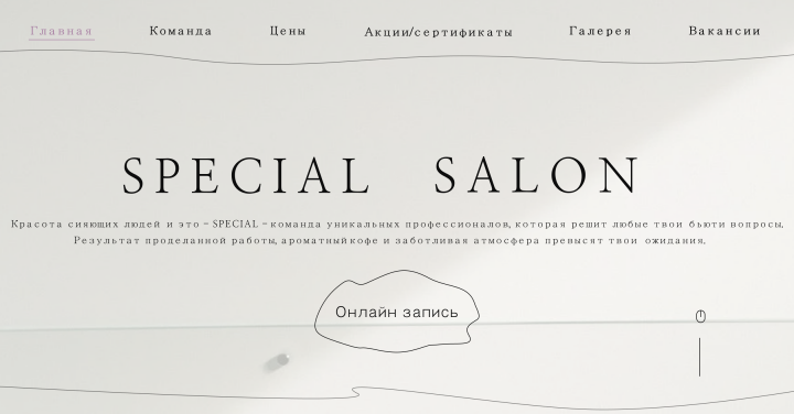 SPECIAL SALON (салон красоты)