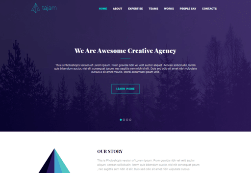 Сайт-визитка «Tajam Agency»