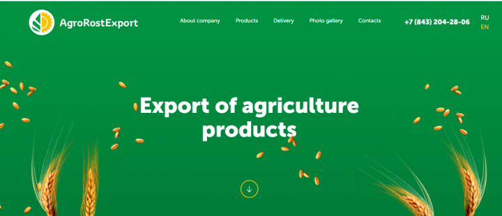 Разработка сайта в 2-х версиях: русс. и англ. языки