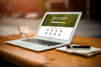 Посадочная страница коттеджного поселка  (Москва)