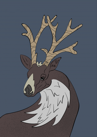 Разработка иллюстрации для принта одежды