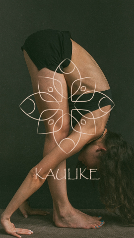 Разработка логотипа для йога-студии