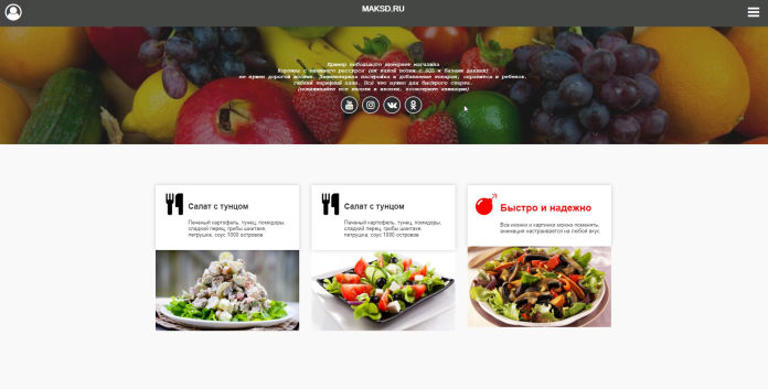 образец интернет магазина