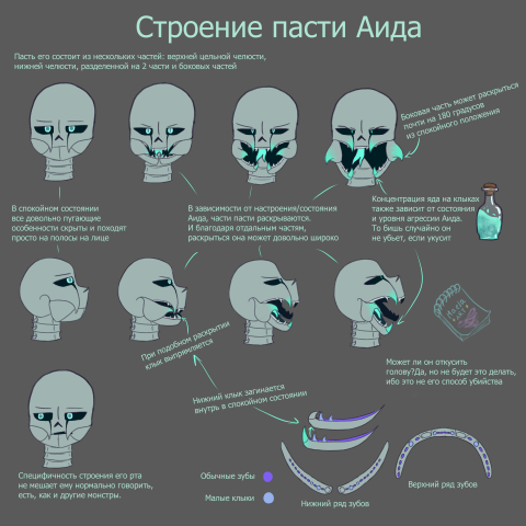 Строение головы одного из своих персонажей