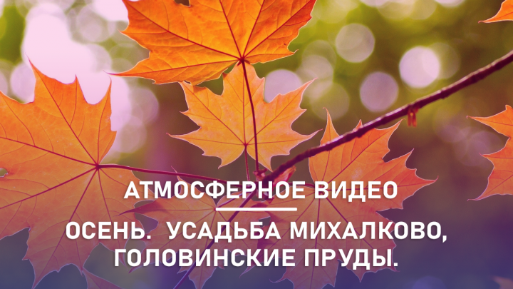 Атмосферное осеннее видео. Усадьба Михалково, Головинские пруды.