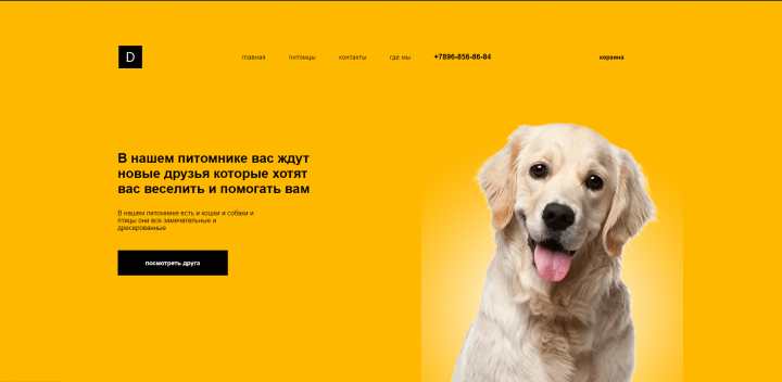 Лендинг