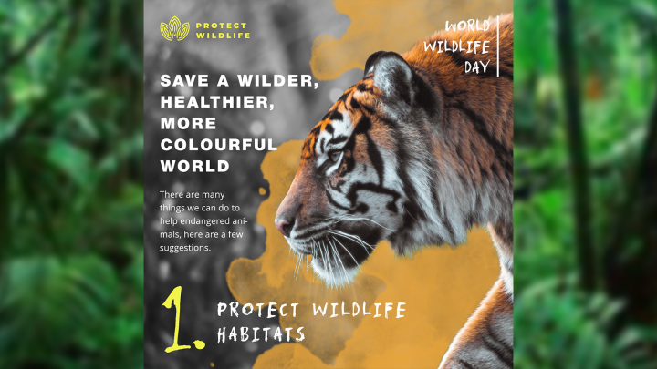 Баннерная анимация