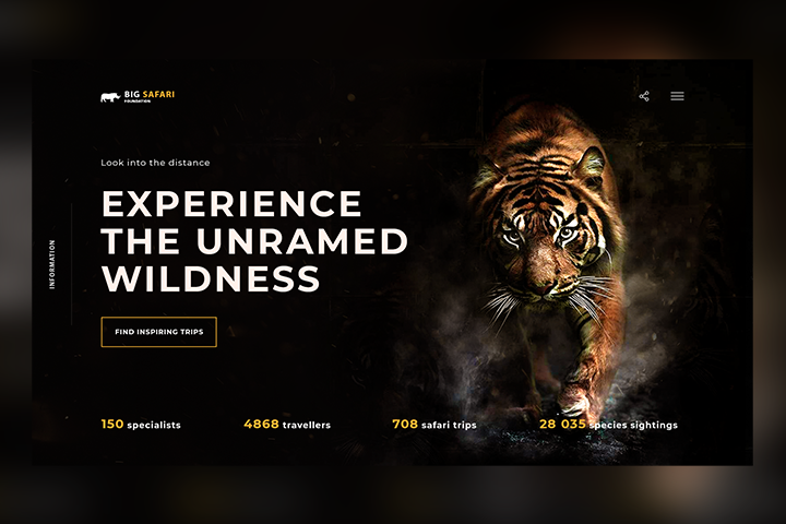 Первый экран сервиса сафари туров