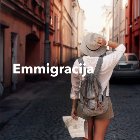 Разработка лендинга для Emmigracija