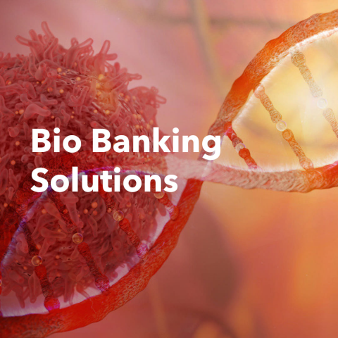 Разработка сайта для Bio Banking Solution