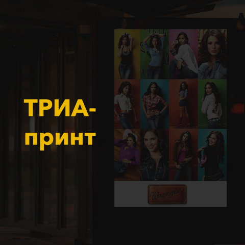 Разработка сайта для рекламного агенства Триа-принт