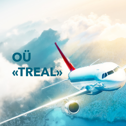 Разработка сайта Treal