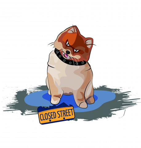 CLOSED STREET