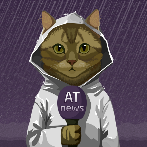 Кот журналист