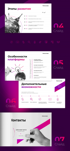 PrizmaGuide
