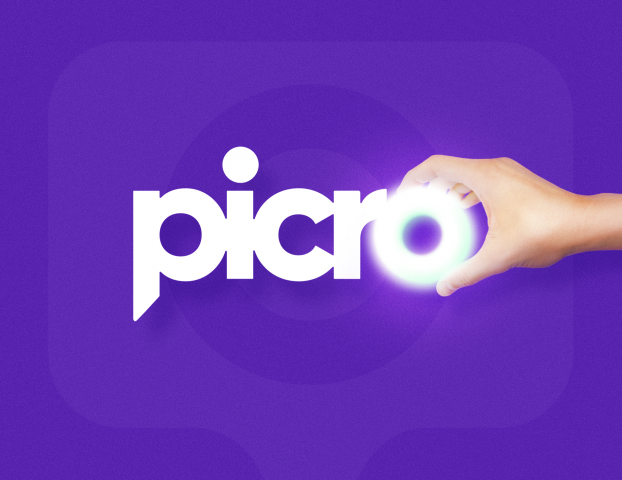 Picro | Naming + logo