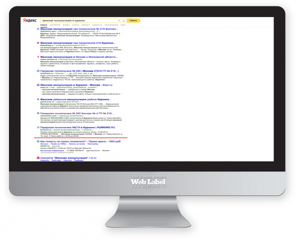 SEO ТОП в Яндекс для KURKINO.RU