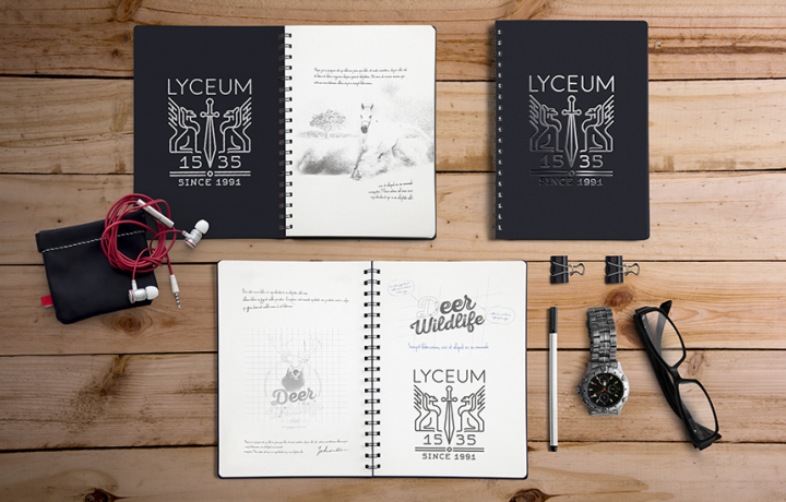 Фирменный стиль Lyceum 1535