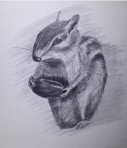 простой карандаш