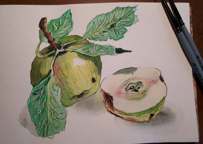 акарель скетч