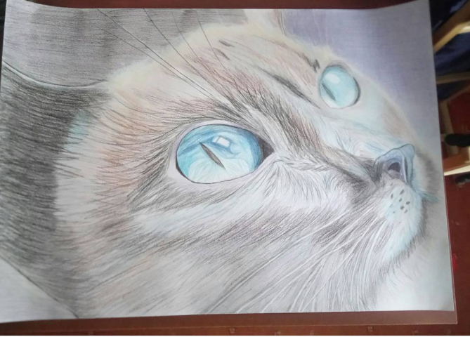 Цветные арандаши