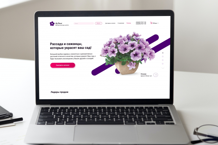 Интернет магазин рассады