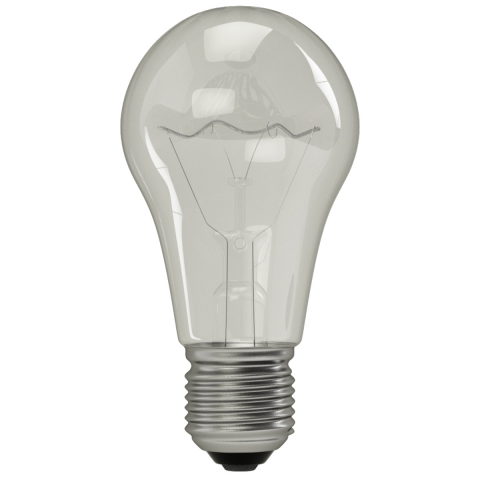 Bulb