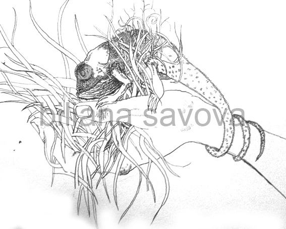 Работа 3362854