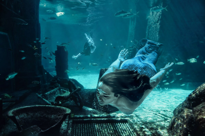 Подводный мир