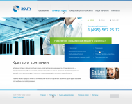 Solfy сайт под ключ