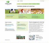 Дизайн сайта Feedland