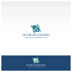 VIGOR Accounting2