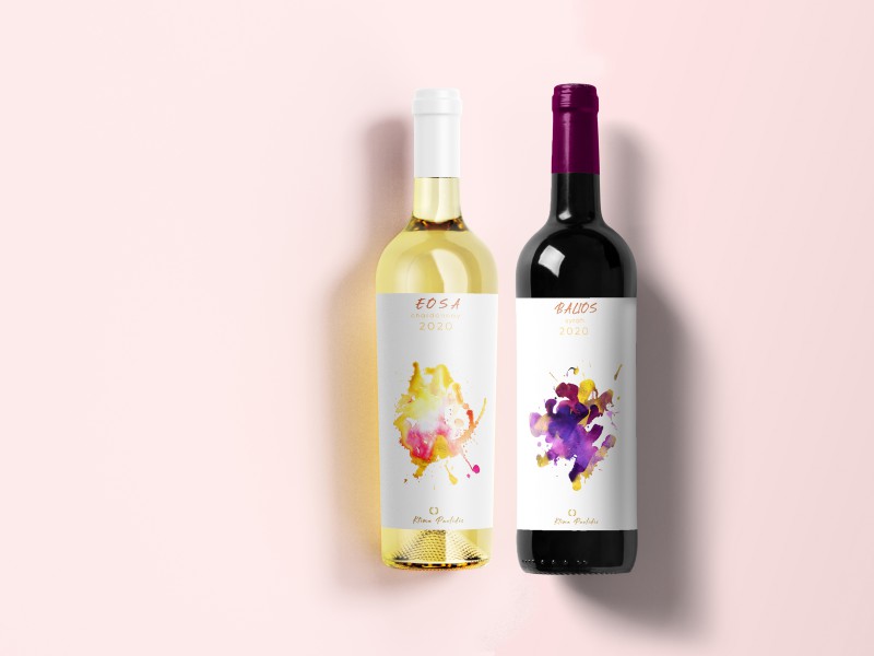 pic4136361.jpg