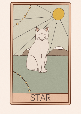 Кот на карте