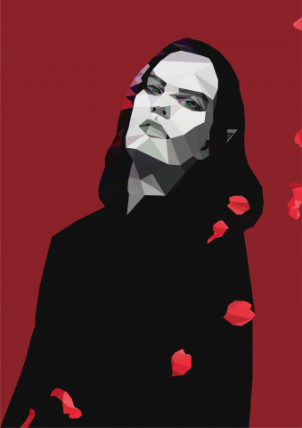 Фотография в стиле low poly