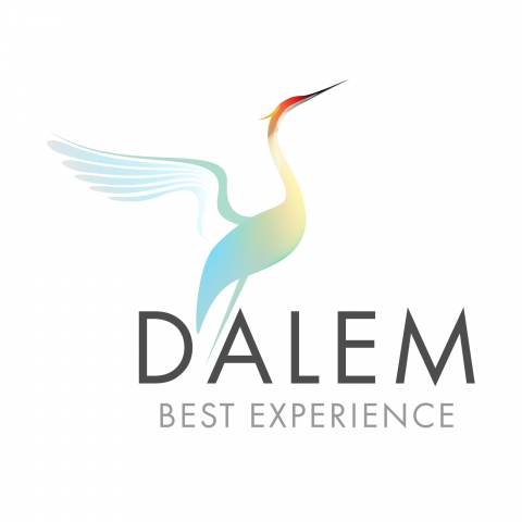 Студия DALEM
