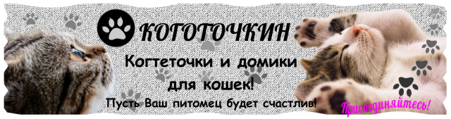 Оформление группы kogotochkin