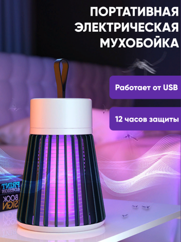 ПЭМ