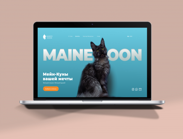 mainecoon