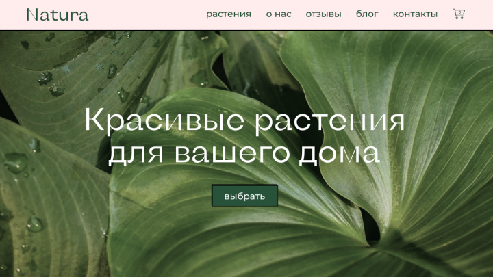 Сайт для онлайн-сервиса продажи комнатных растений