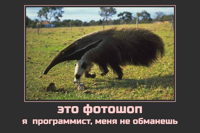 Коллаж1, демотиватор, мем