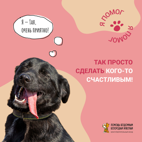 Баннеры для соцсетей фонда помощи бездомным животным
