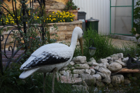 Гостеприимный сад