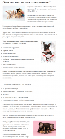 Карманные собачки: описание, советы по выбору и топ лучших пород