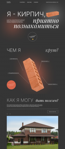 Творческая работа "КИРПИЧ"