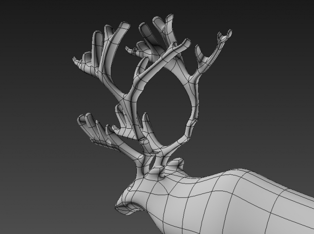deer3