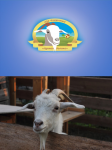 Логотип для крестьянского хозяйства