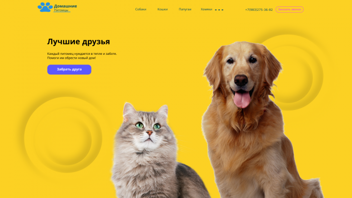 Сделано для показа навыков